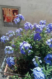 Palazzetto Bentivoglio - Sassoferrato - 8