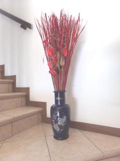 Appartamento Le Rose - Abano Terme - 8