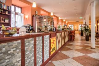 JUFA Hotel Meersburg am Bodensee - Meersburg - 7