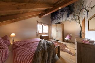 Luxus Ferienhäuser Chalets zum Ilsetal mit Kamin & Sauna in Ilsenburg im Harz - Ilsenburg - 5