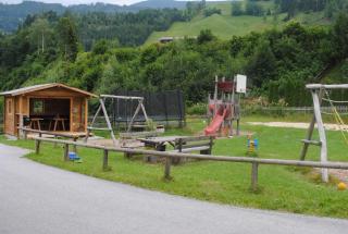 Familien-Bauernhof Neumoar - Sankt Johann im Pongau - 9