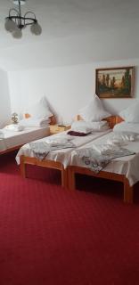 Pensiunea Magura - 9