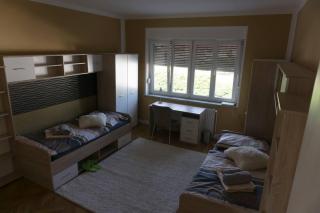 Trendy apartmant in city - Maribor - 0