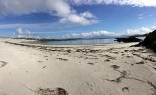 St Ellens Room Only - Inishbofin - 4