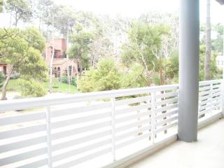 Avutarda de Carilo - Carilo - 2
