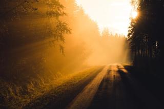 Visit Hautakylä - Hautakylä - 1