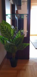 City Inn Apartment - Osijek - 4