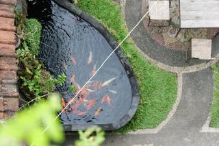 Ramaya Ubud View by EPS - Ubud - 7