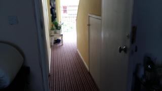 prospect hill - Londra - 5