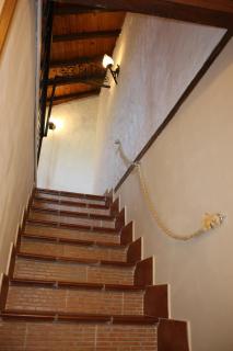 Casa Rural El Palatino - Miranda del Castañar - 1