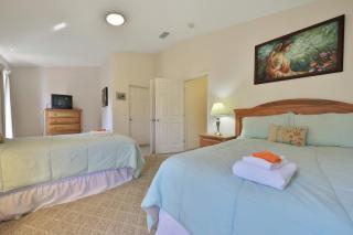 Palm Harbor Hideaway - 4
