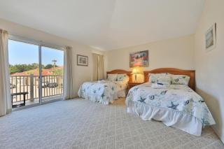 Palm Harbor Hideaway - 3