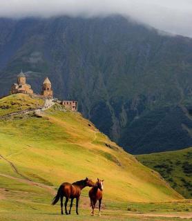 Ineza's Guest House - Kazbegi - 6