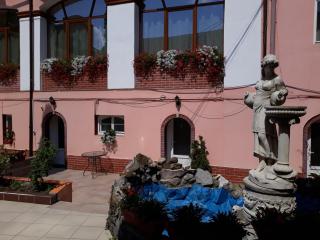Pensiunea Casa Rusu - Baia Mare - 8