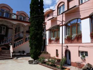 Pensiunea Casa Rusu - Baia Mare - 9