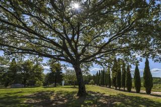 Casale Cipressi - Castellina in Chianti - 1