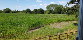 Rookery Lodge Apartments - Wistaston - 7