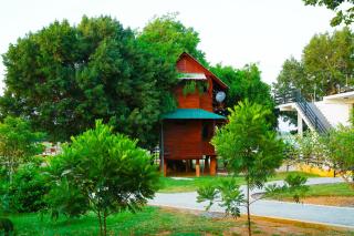Lake Villa Resort - Tissamaharama - 4