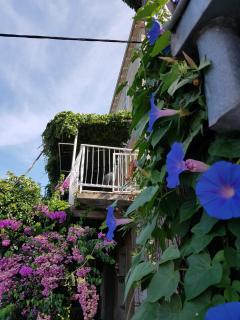 Apartment Miso - Cavtat - 7