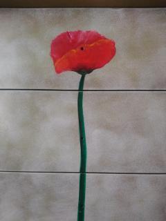 Giardini Acantus - Rosolini - 9