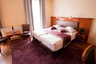 Pannonia Hotel - Sopron - 6