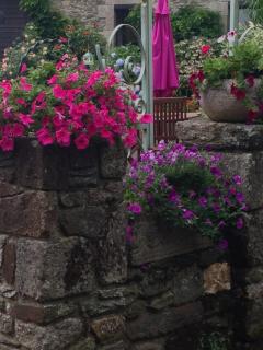 Le Petit Chateau, Matisse - Noyal-Pontivy - 4