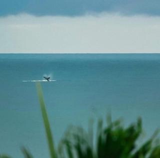 Hotel Punta Franca - 8