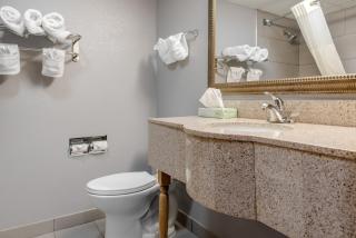 Quality Inn & Suites Bedford West - Bedford - 7