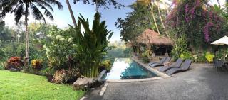 Alami Villa - Ubud - 4