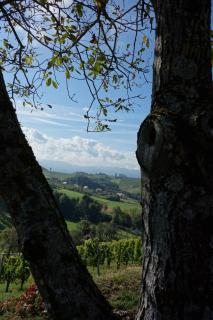 Das Weinberghaus - Ratsch an der Weinstraße - 9