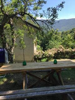 Casa nel bosco - Osiglia - 0
