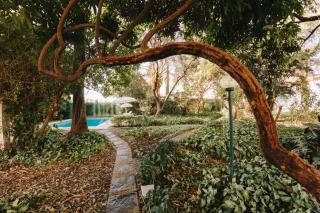Hotel Passaledo - Indaiatuba - 9