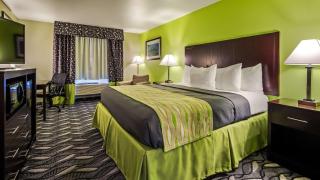 Best Western Mt. Vernon Inn - Mount Vernon - 1