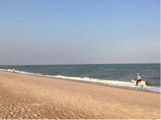 Rain Cha Am Hua Hin - 4