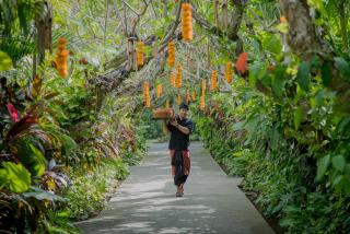 Mahagiri Villas Sanur - Sanur - 8