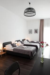 Aparthotel Lenau - 9