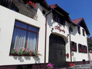 Pensiunea Magnolia - Sibiu - 7