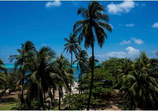 Edificio Bay Point Apto 402 Punta Hansa - San Andrés - 8