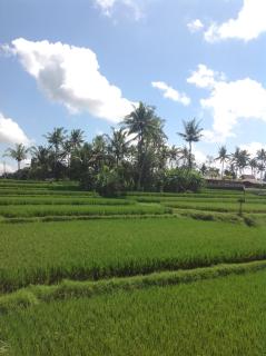 Uma Dhari Villa by Prasi - Ubud - 3
