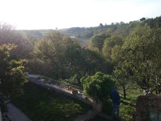 Le Petit Fabre - Montagnac - 3