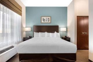 Sleep Inn Big Spring North I-20 - Big Spring - 3