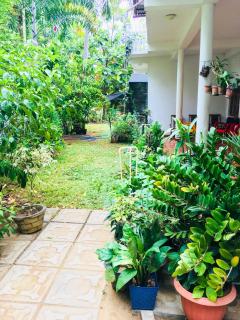 Sudu Neluma Home Stay - 3