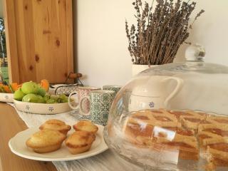 Tenuta Guarascio - 3