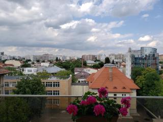 Urban Nest Apartment - Bucharest - 3