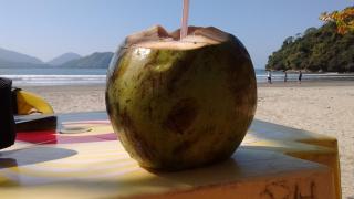 Apartamento em Condomínio - Ubatuba - 2
