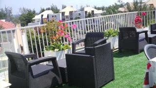 Entre cocotiers et Filaos - 3