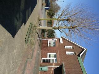 Afbeelding van de locatie