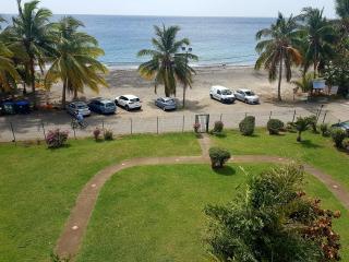 Cote Plage - Le Carbet - 8