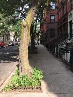 NYC Townhouse Apartment - New York - 2