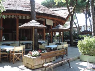 Victoria Mobilehome in Camping Mare e Pineta - Lido di Spina - 2